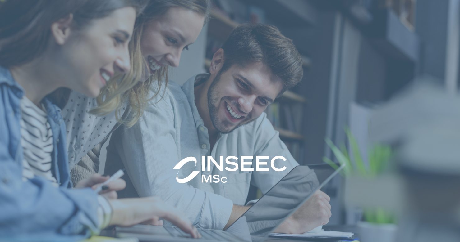 INSEEC MSc – Digital Marketing & E-business