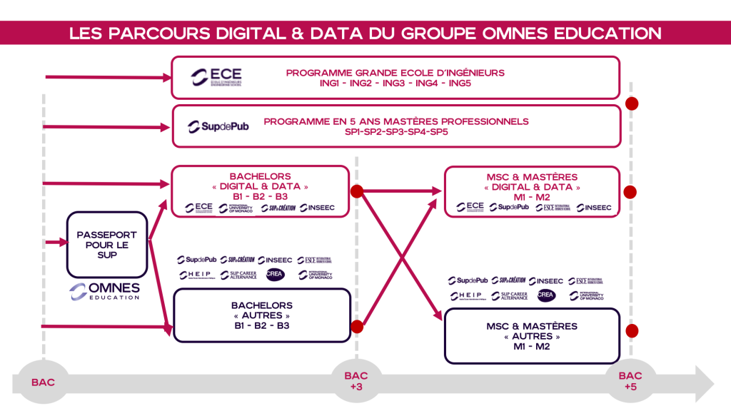 parcours programmes digital data omnes education