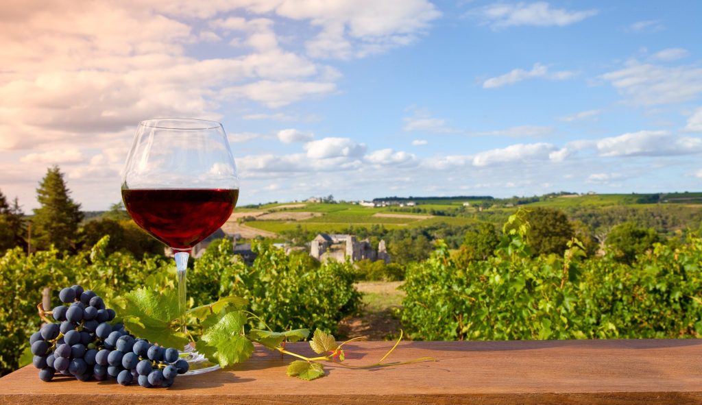 Les domaines viticoles de Bordeaux